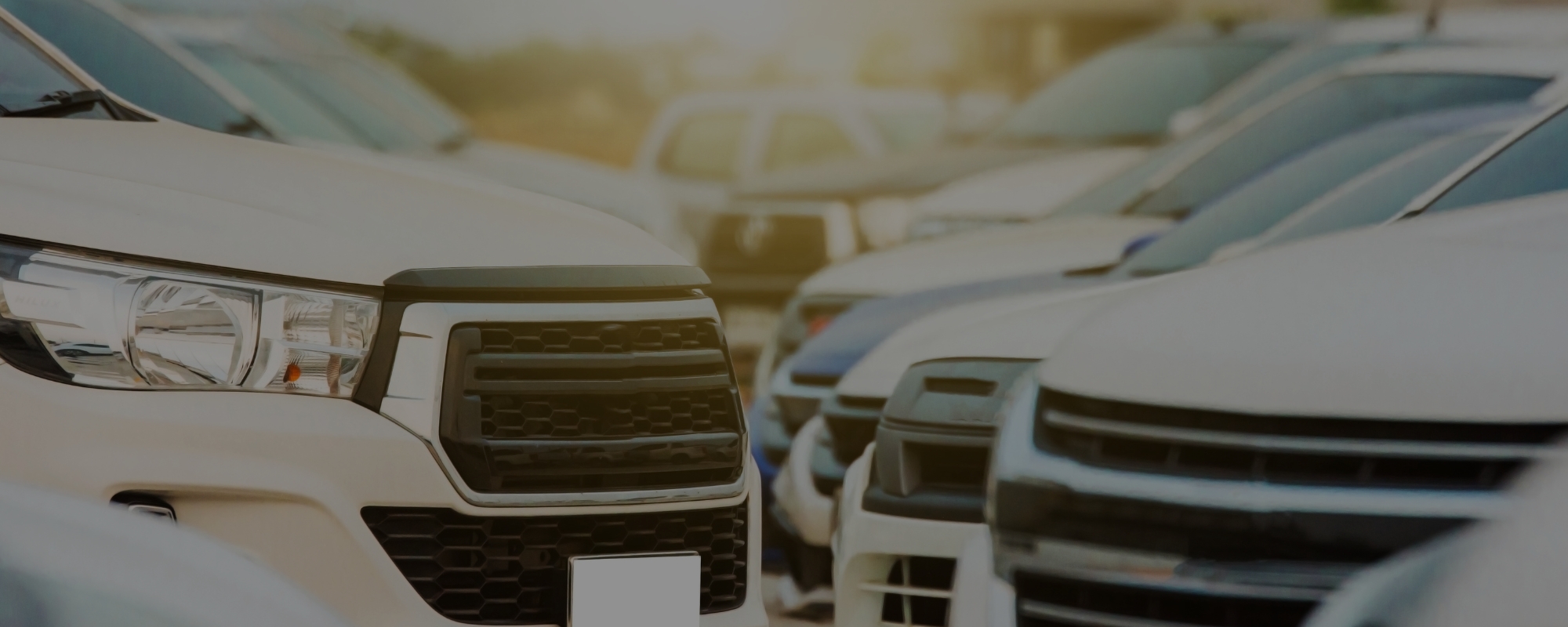 Effortless Car Service and Rental Car Bookings